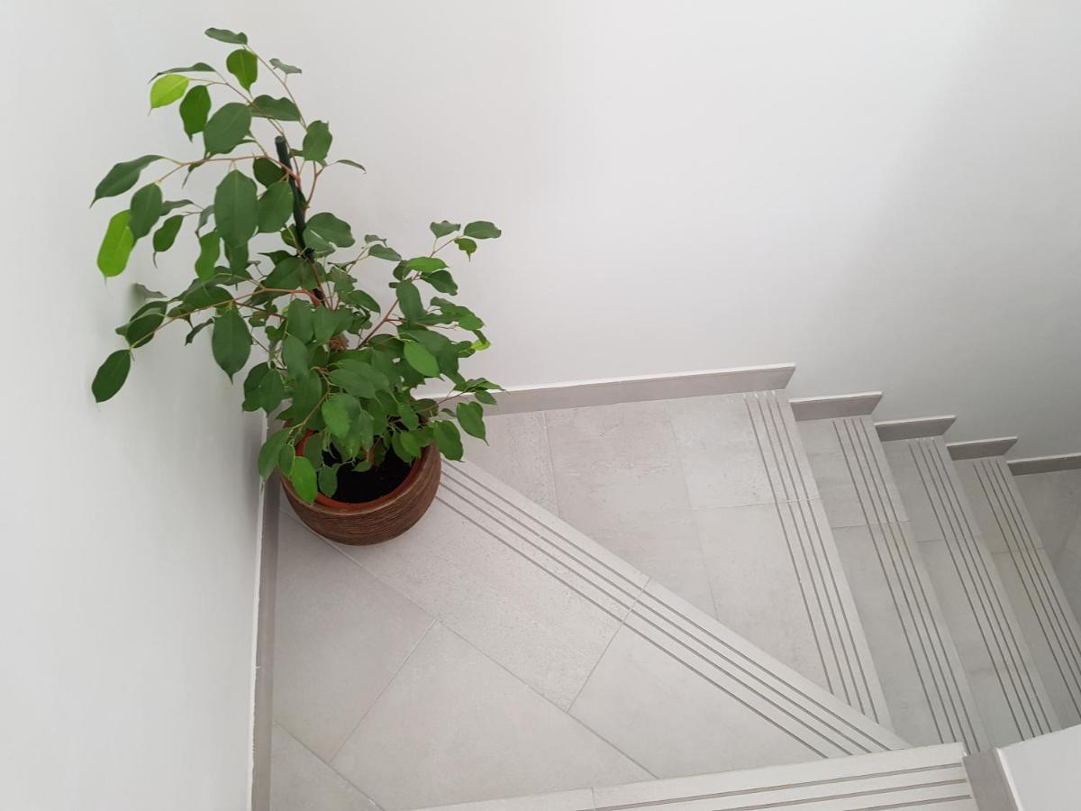 Loft Abantos - 120M2 Mas Terraza Y Jardin Independiente San Lorenzo de El Escorial Eksteriør billede