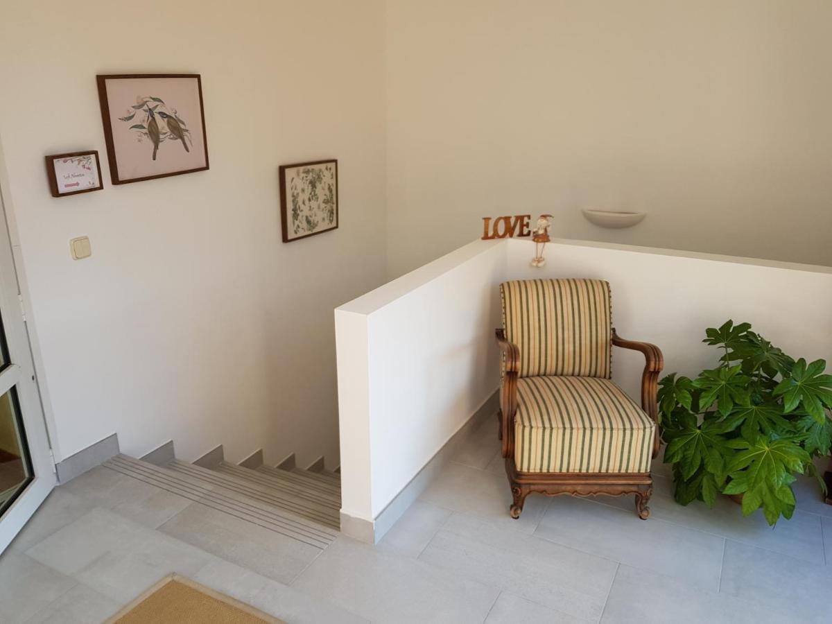 Loft Abantos - 120M2 Mas Terraza Y Jardin Independiente San Lorenzo de El Escorial Eksteriør billede