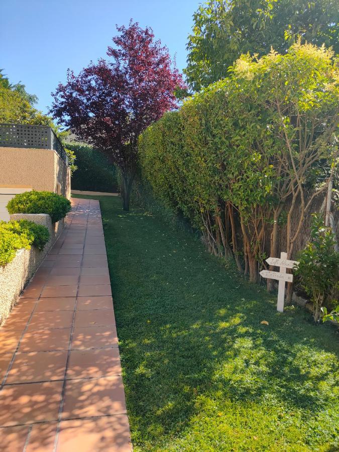 Loft Abantos - 120M2 Mas Terraza Y Jardin Independiente San Lorenzo de El Escorial Eksteriør billede