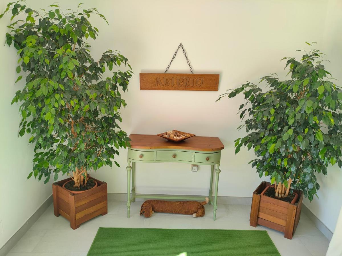 Loft Abantos - 120M2 Mas Terraza Y Jardin Independiente San Lorenzo de El Escorial Eksteriør billede