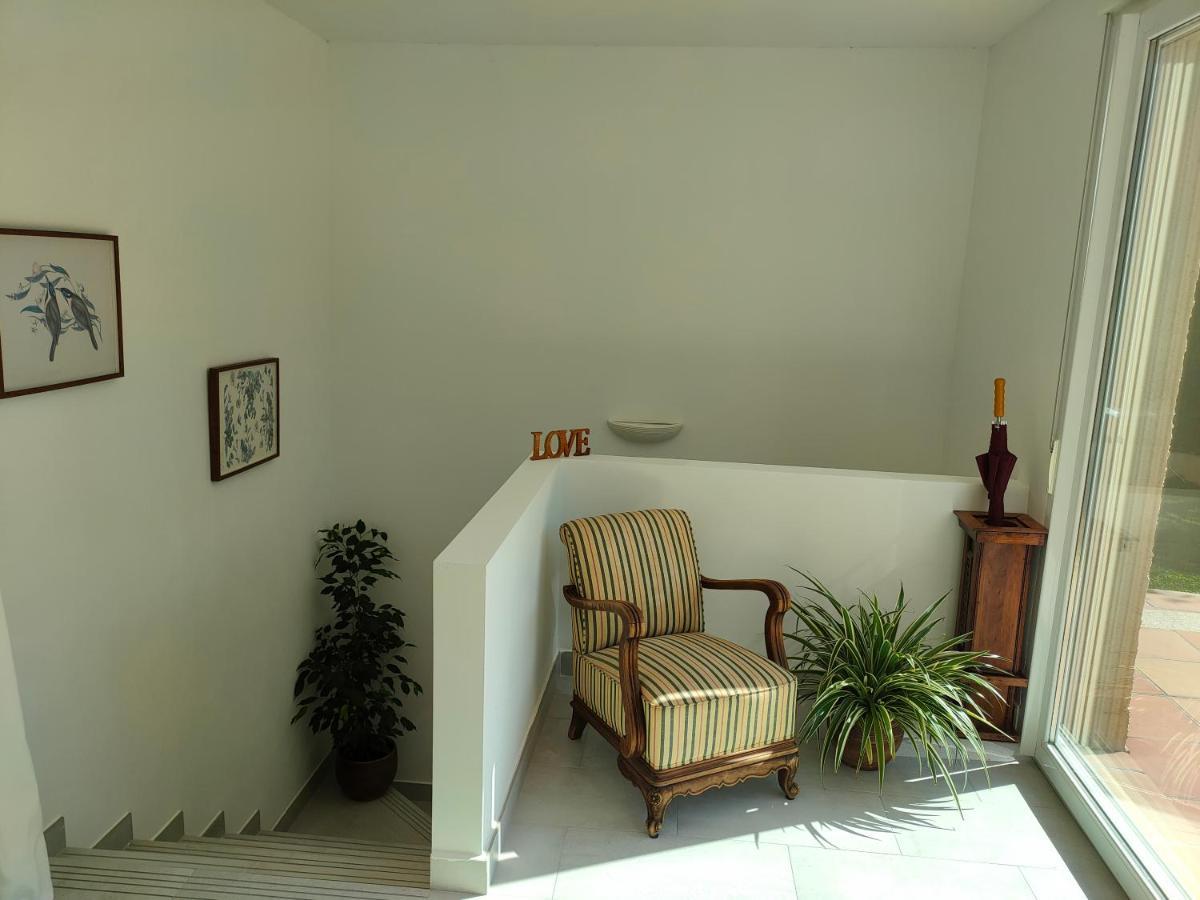 Loft Abantos - 120M2 Mas Terraza Y Jardin Independiente San Lorenzo de El Escorial Eksteriør billede
